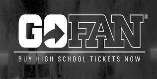 Go Fan Image